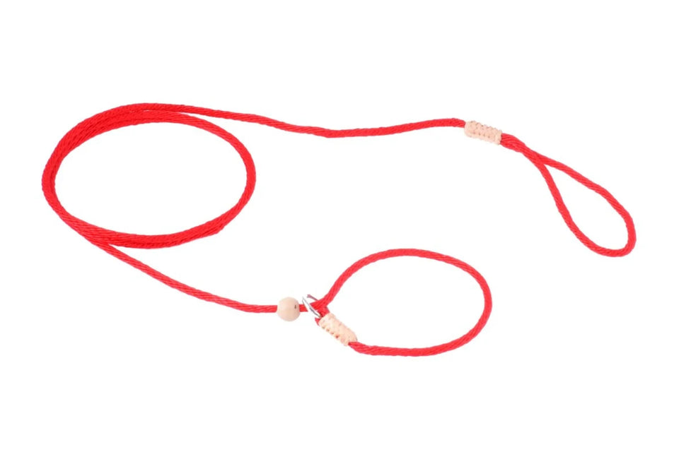 Nylon Slip Lead With Stopper (4 ft x 1/16 or 2 mm) - Pets Perfect