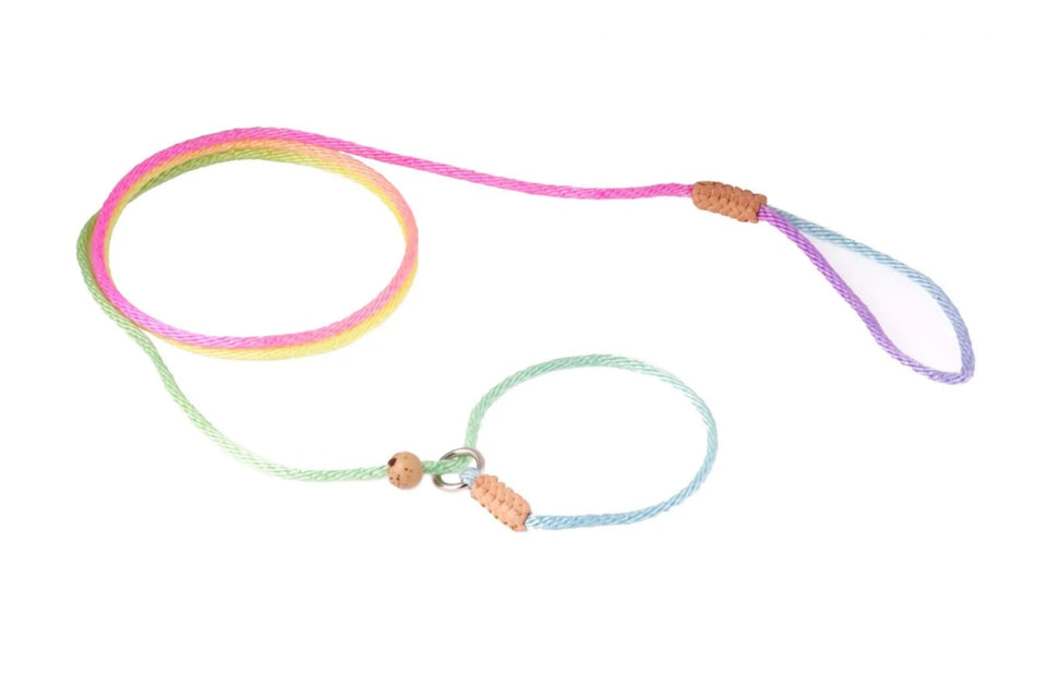 Nylon Slip Lead With Stopper (4 ft x 1/16 or 2 mm) - Pets Perfect