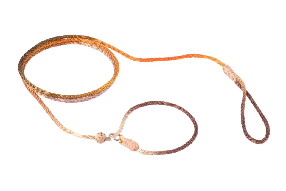 Nylon Slip Lead With Stopper (4 ft x 1/16 or 2 mm) - Pets Perfect