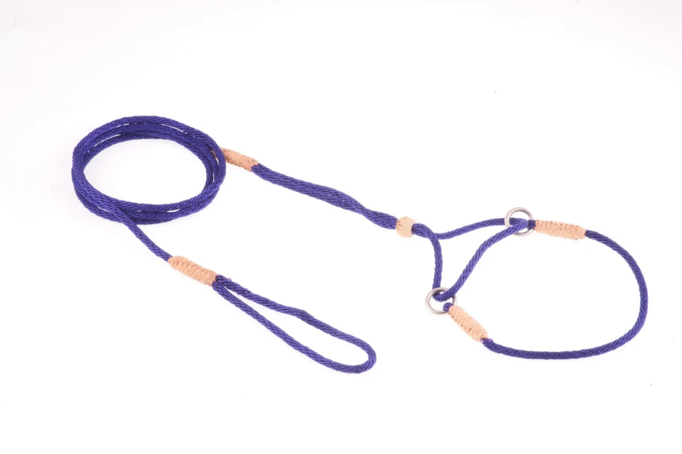 Nylon Martingale Leads (8 in x 1/16 or 2 mm) - Pets Perfect