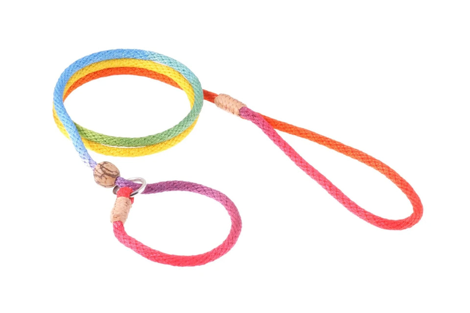 Nylon Slip Lead With Stopper (4 ft x 1/8 in or 4 mm) - Pets Perfect