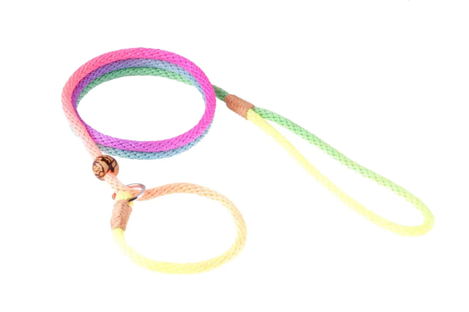 Nylon Slip Lead With Stopper (6 ft x 1/8 in or 4 mm) - Pets Perfect