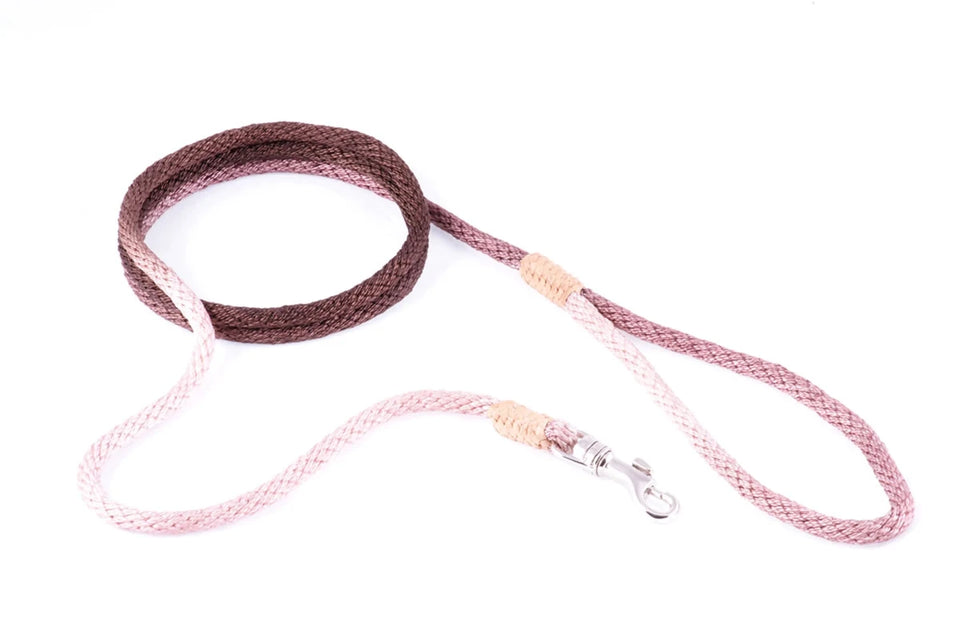 Nylon Snap Leads (4 ft x 1/8 in or 4 mm) - Pets Perfect