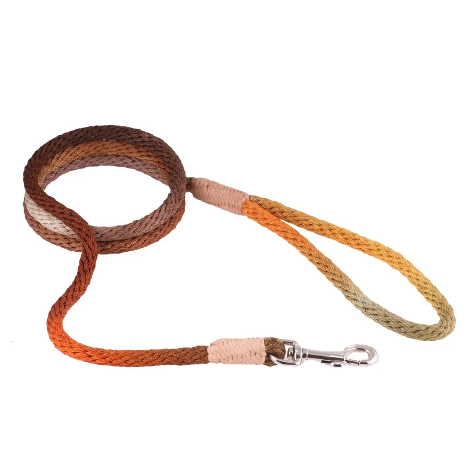Nylon Snap Leads (6 ft x 1/8 in or 4 mm) - Pets Perfect