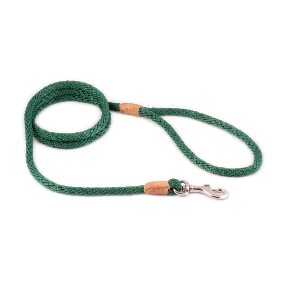 Nylon Snap Leads (6 ft x 1/8 in or 4 mm) - Pets Perfect