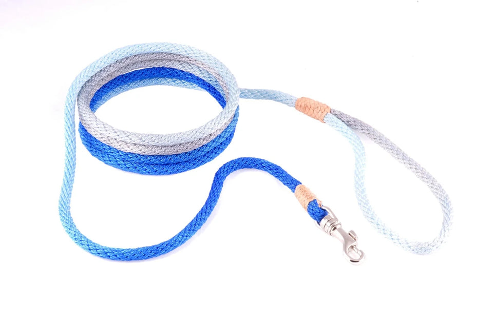 Nylon Snap Leads (6 ft x 1/8 in or 4 mm) - Pets Perfect
