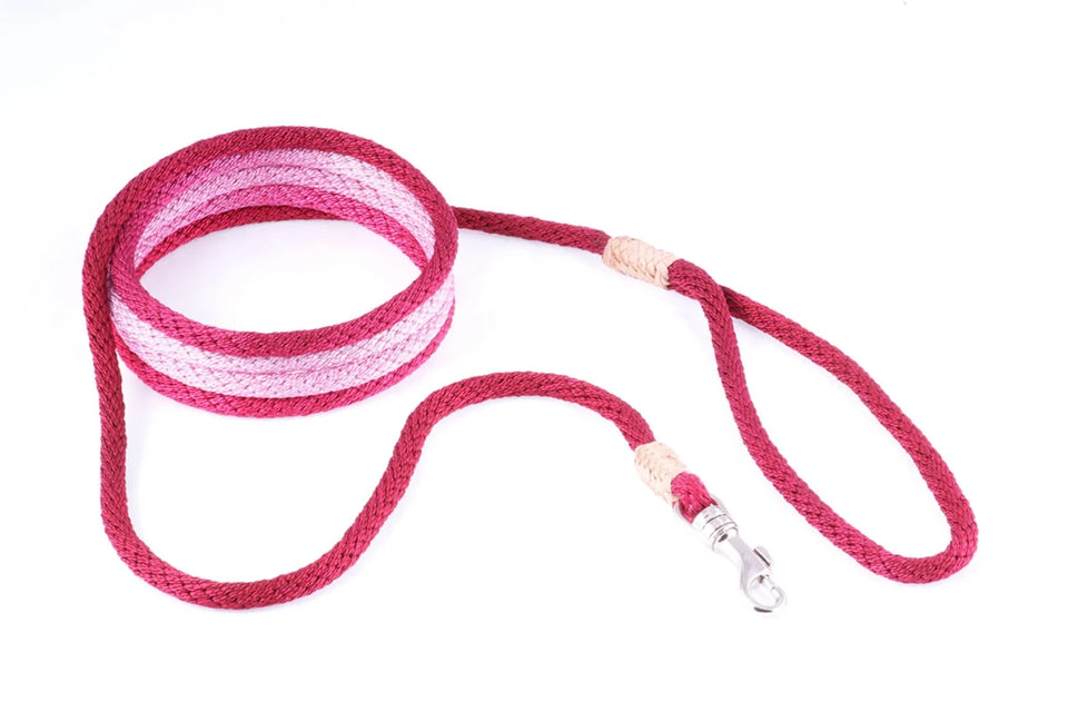 Nylon Snap Leads (6 ft x 1/8 in or 4 mm) - Pets Perfect