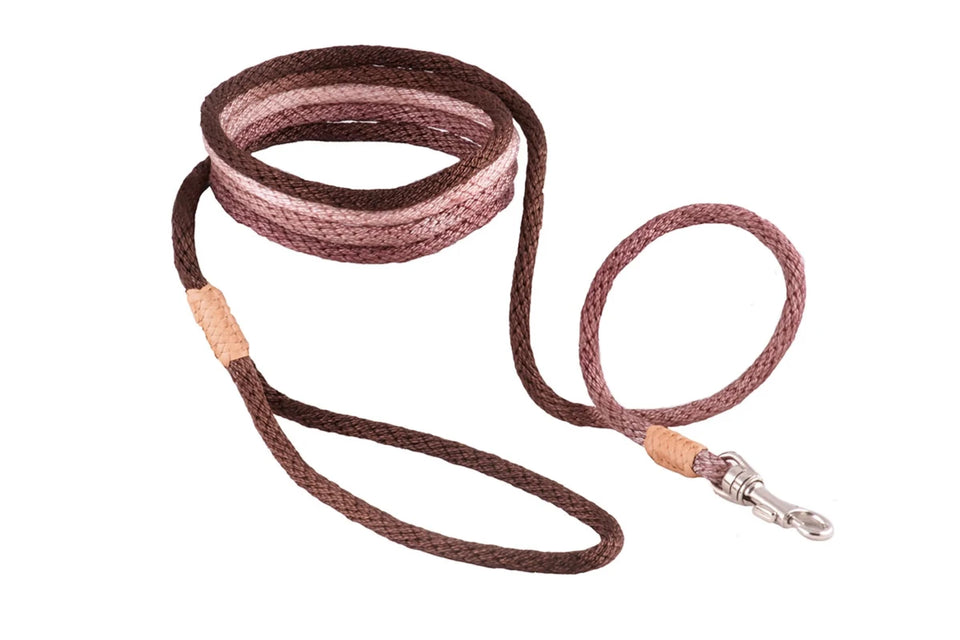 Nylon Snap Leads (6 ft x 1/8 in or 4 mm) - Pets Perfect