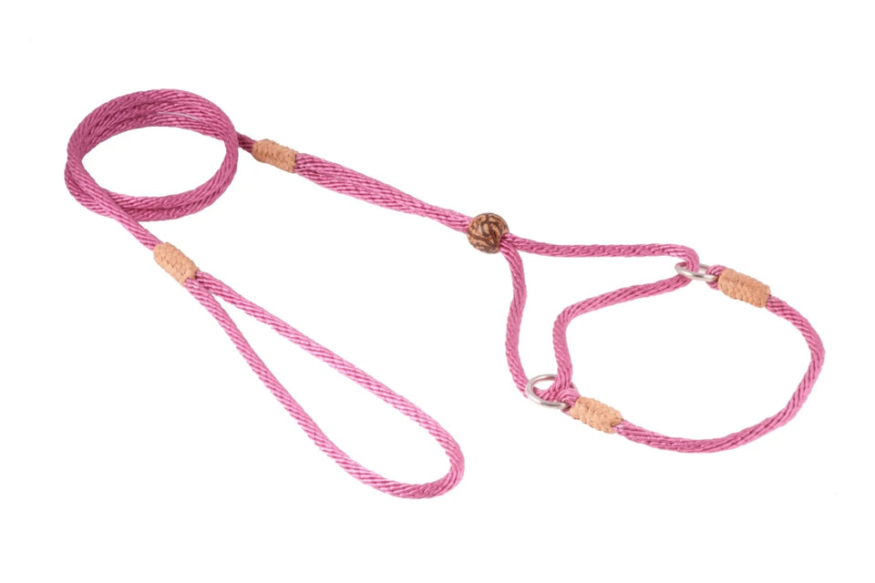 Nylon Martingale Leads (8 in x 1/8 in or 4 mm) - Pets Perfect