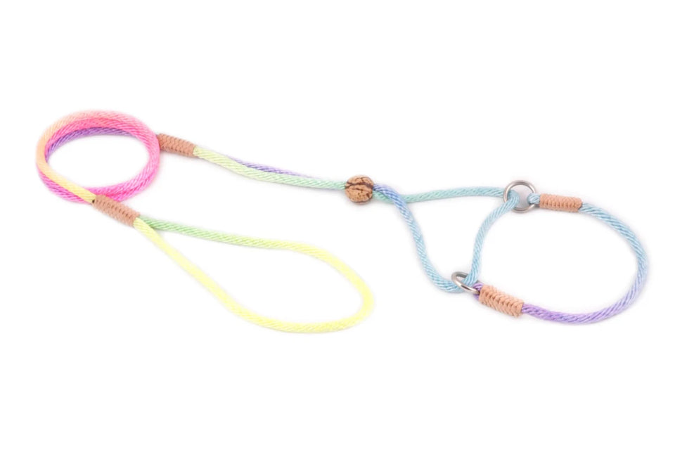 Nylon Martingale Leads (8 in x 1/8 in or 4 mm) - Pets Perfect