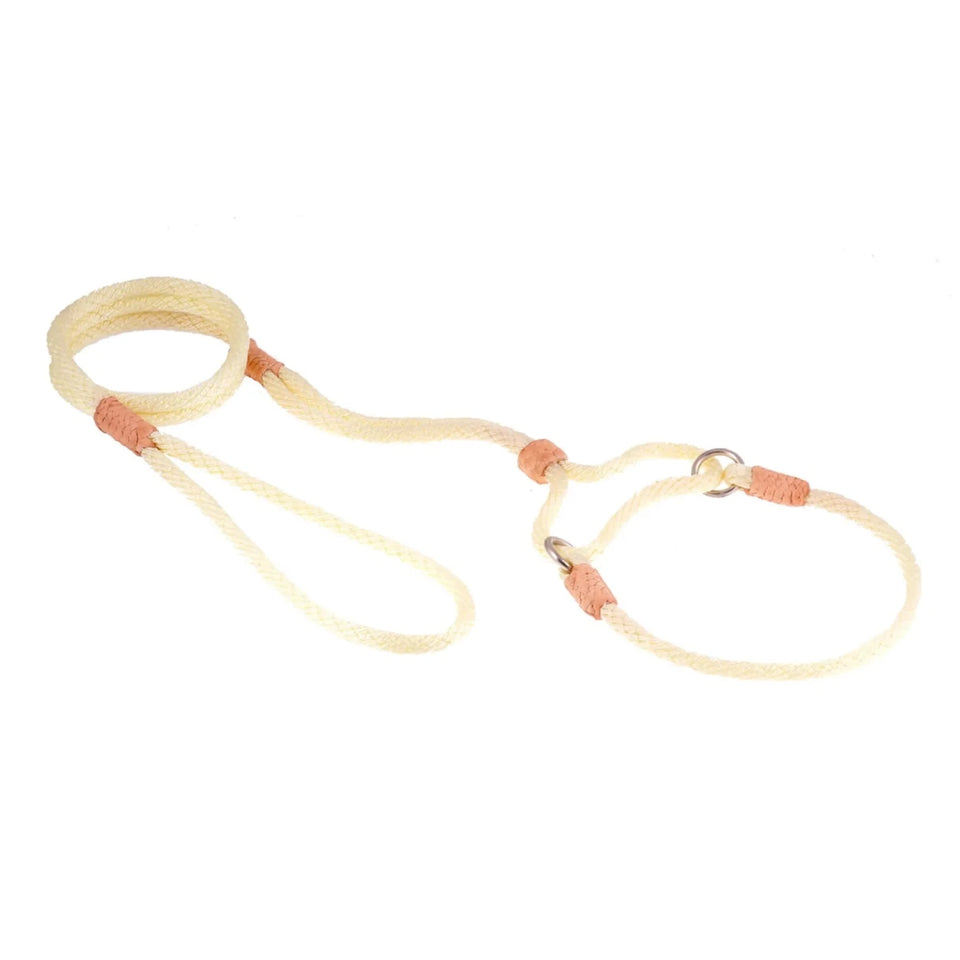 Nylon Martingale Leads (10 in x 1/4 in or 6 mm) - Pets Perfect