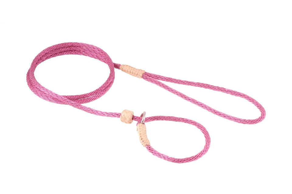 Nylon Slip Lead With Stopper (4 ft x 1/8 in or 4 mm) - Pets Perfect