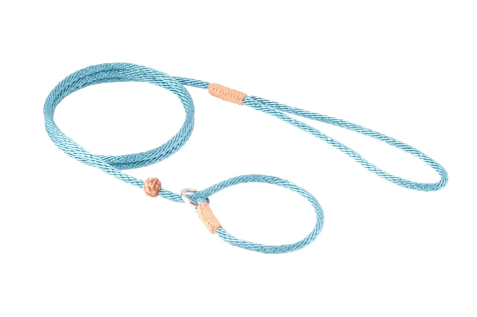 Nylon Slip Lead With Stopper (4 ft x 1/8 in or 4 mm) - Pets Perfect
