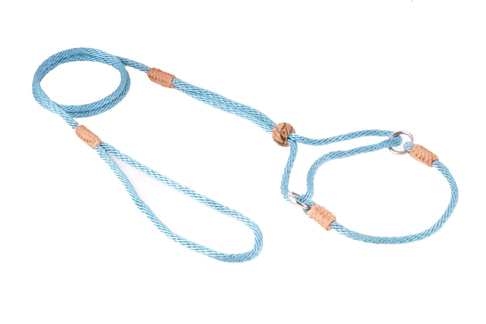 Nylon Martingale Leads (8 in x 1/8 in or 4 mm) - Pets Perfect
