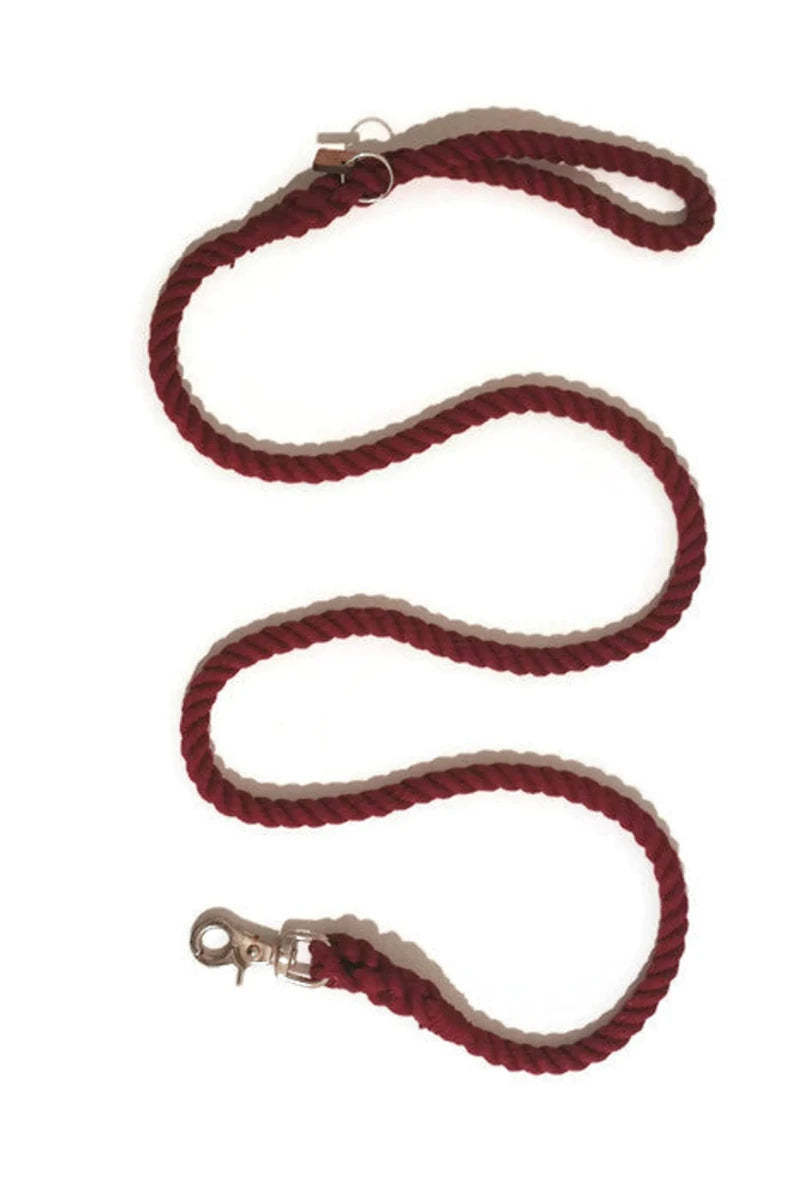 Rope Dog Leash - Pets Perfect