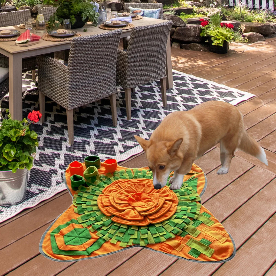Pet Snuffle Mat - Interactive Feeding Training Mat for Pets - Pets Perfect