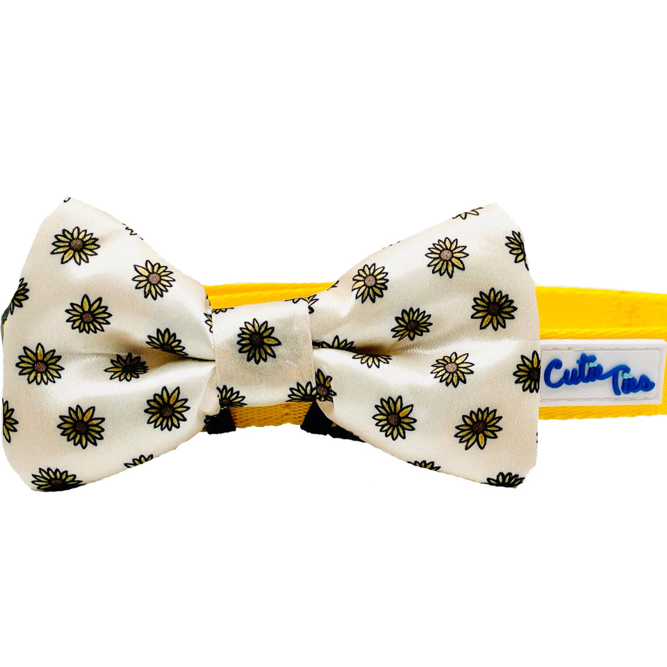Cutie Ties Dog Bow Tie - 14 Playful Designs, Pink & blue/ONE SIZE, view 13