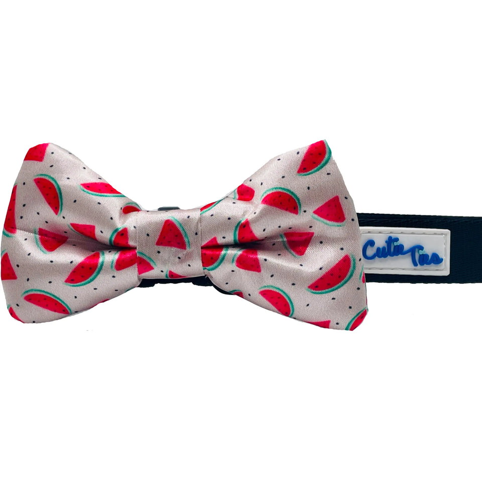 Cutie Ties Dog Bow Tie - Fun Print Dog Collar Accessory, Neon peach/ONE SIZE, view 21