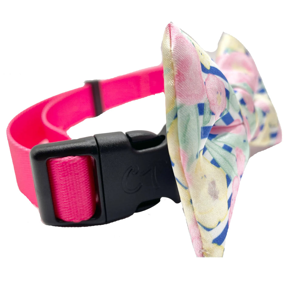 Cutie Ties Dog Bow Tie - 14 Playful Designs, view 18