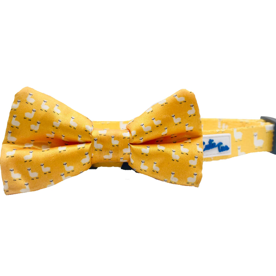 Cutie Ties Dog Bow Tie - Fun Patterned Designs, S'mores purple/ONE SIZE, view 6