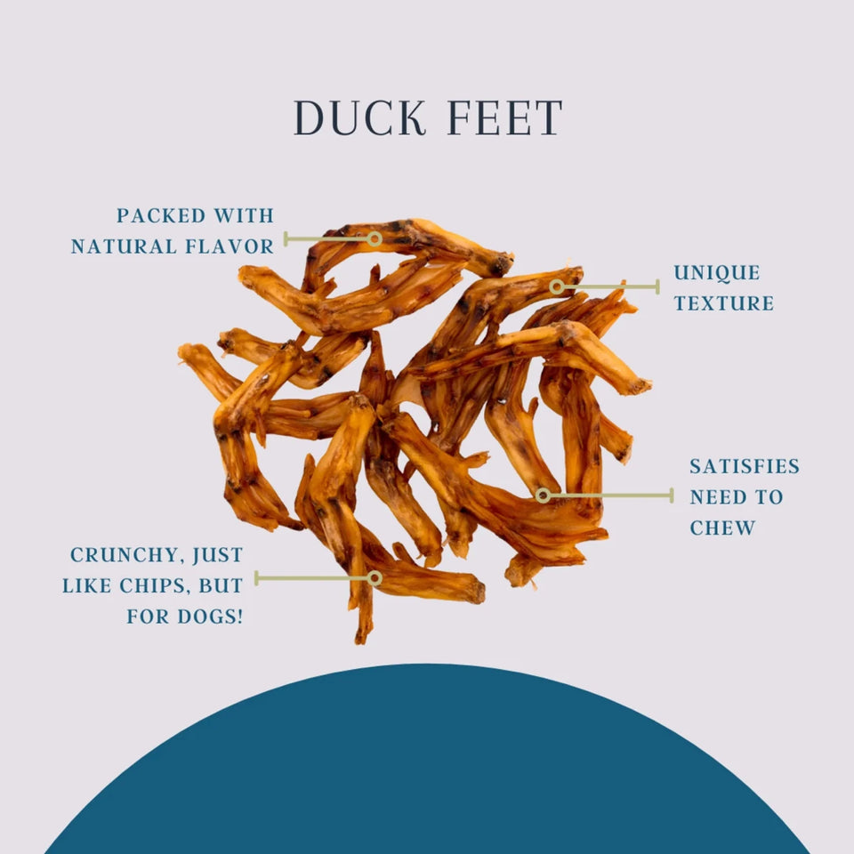Platinum Pet Dog Treats - Duck Feet (30 ct) - Pets Perfect