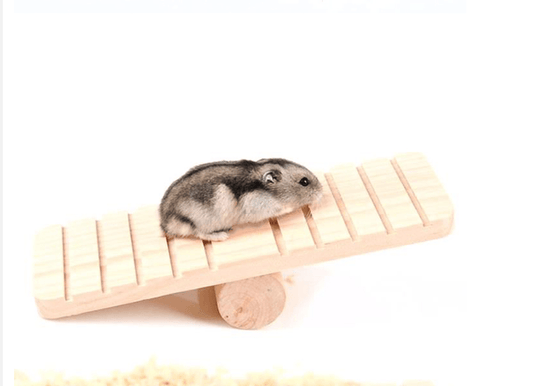 Pet Playtime Wooden Seesaw: A Fun And Durable Toy For Small Animals.