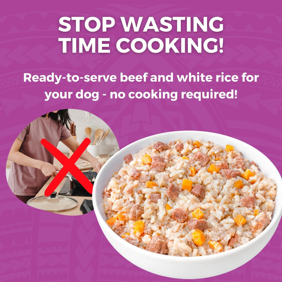 Koha Dog Bland Diet Beef Rice 12.5oz. (Case of 6)