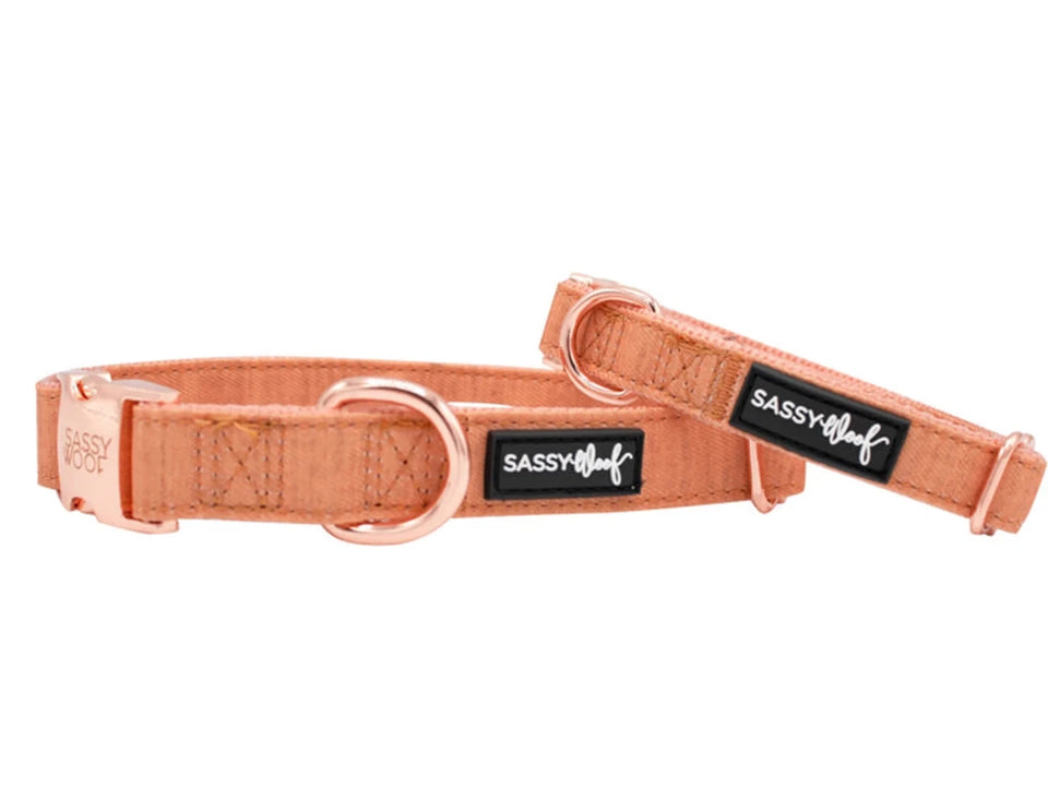 Coral-orange Sassy Woof dog collar with rose-gold-tone hardware and black logo labels