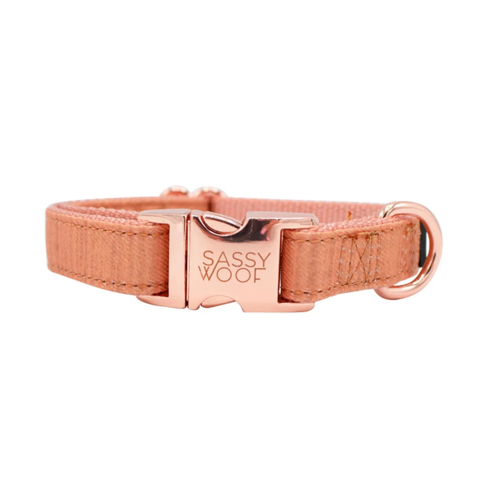 Coral Sassy Woof dog collar with rose-gold-tone buckle and square brand plaque