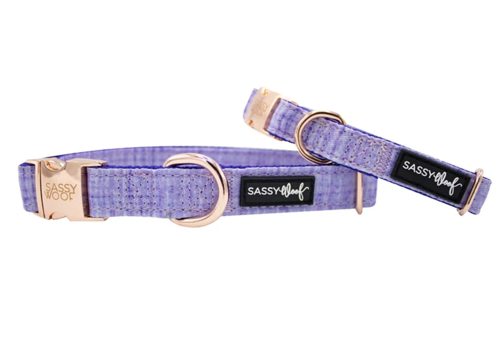 Purple Sassy Woof dog collar with rose-gold-tone hardware and black logo labels