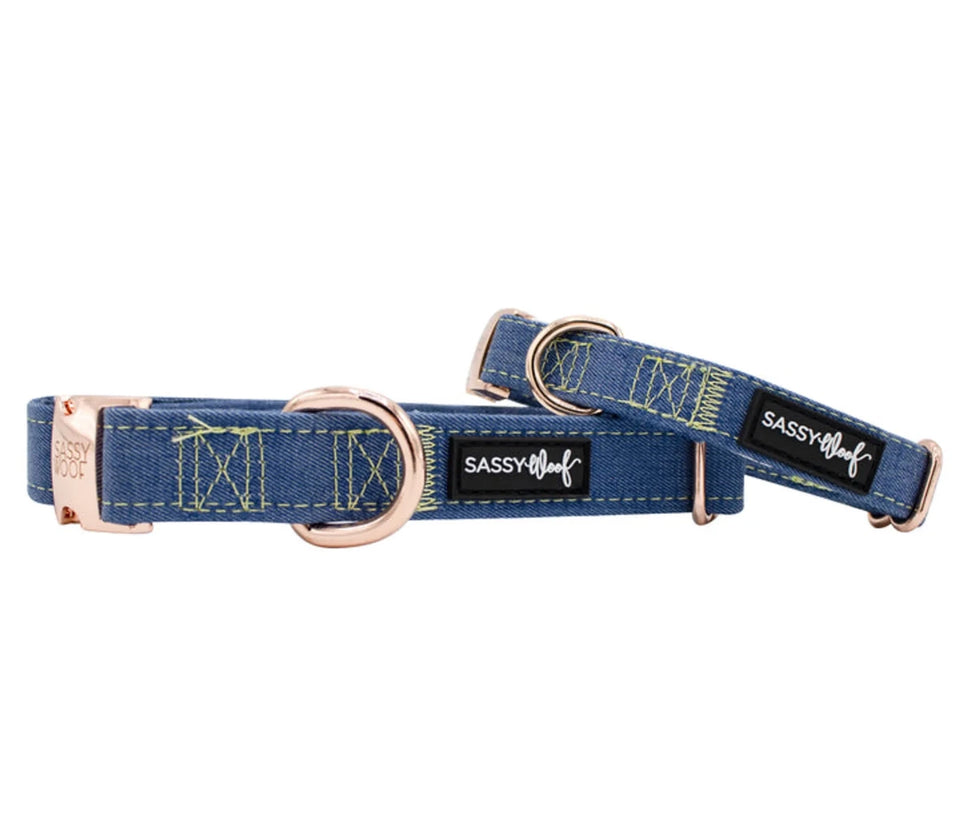 Dog Collar - Pets Perfect