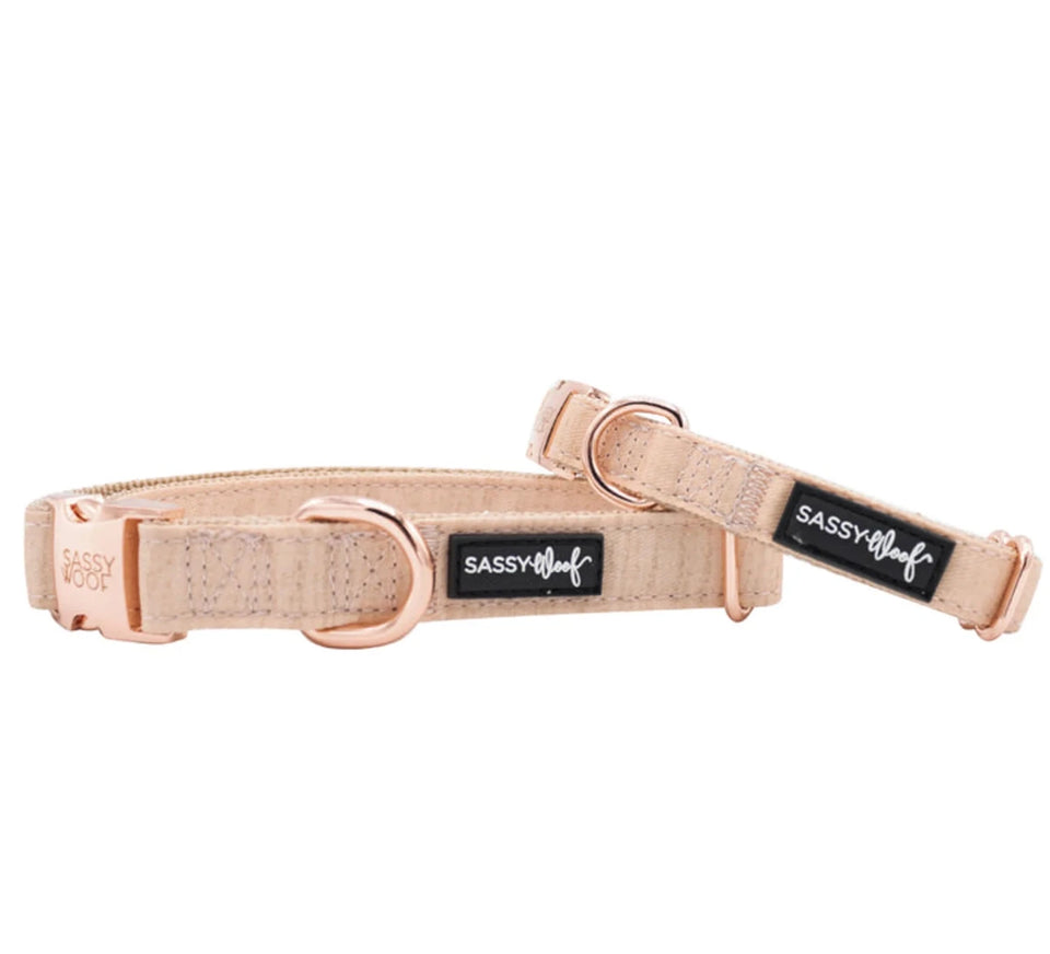 Dog Collar - Pets Perfect