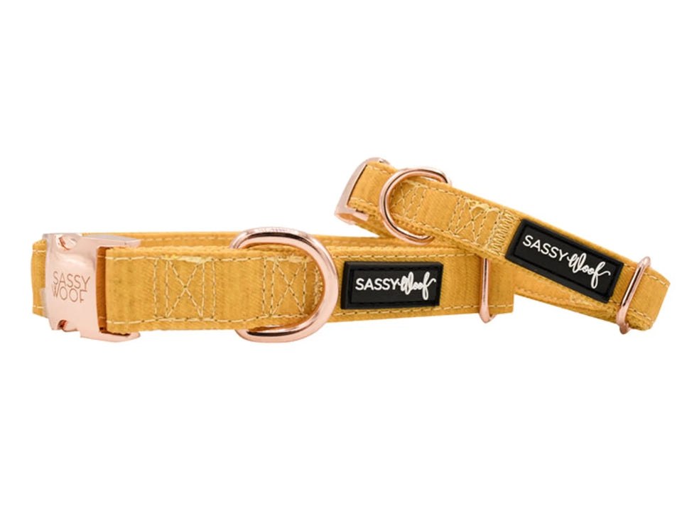 Mustard-yellow Sassy Woof dog collar with rose-gold-tone hardware and black logo labels