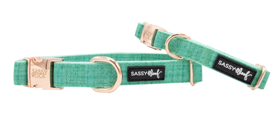 Bright teal Sassy Woof dog collar with rose-gold-tone hardware and black logo labels