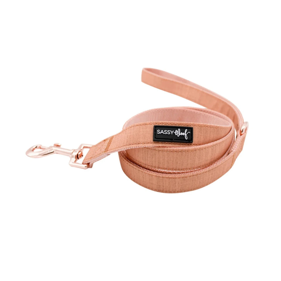 Dog Leash - Pets Perfect