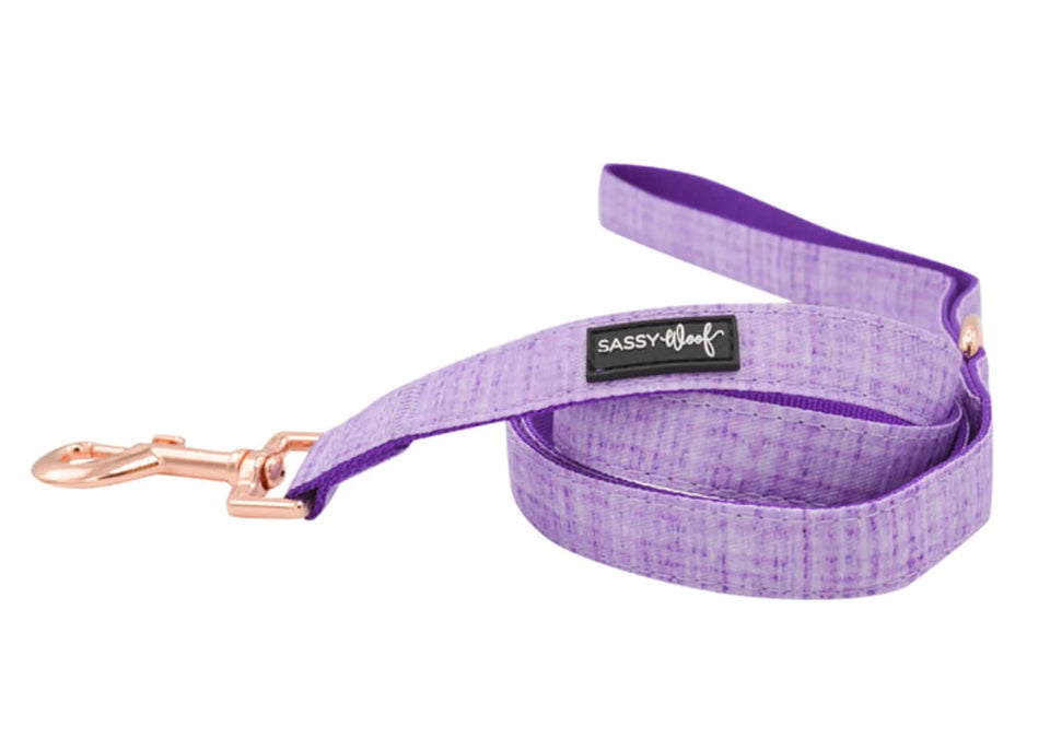 Dog Leash - Pets Perfect