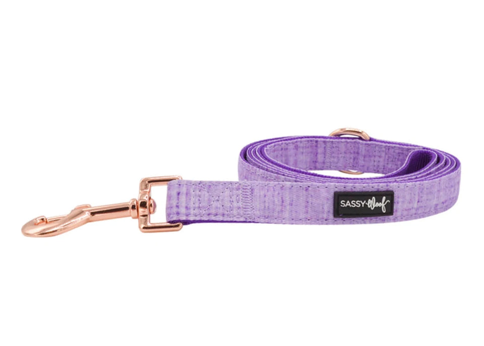 Dog Leash - Pets Perfect