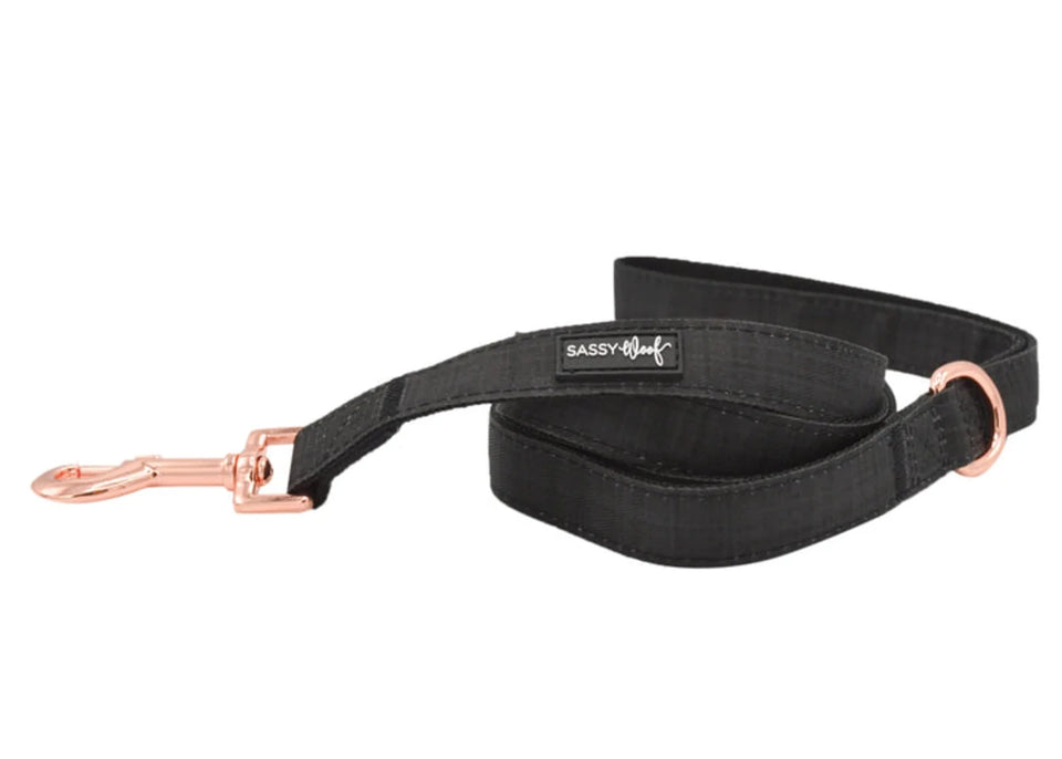 Dog Leash - Pets Perfect