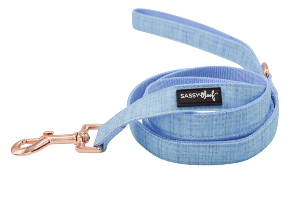 Dog Leash - Pets Perfect