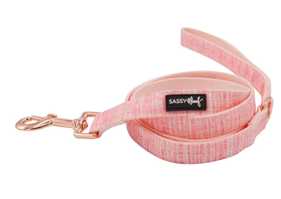 Dog Leash - Pets Perfect
