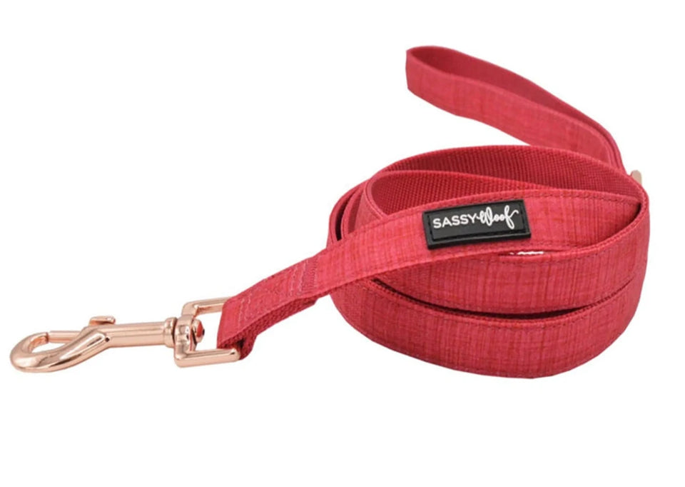Dog Leash - Pets Perfect