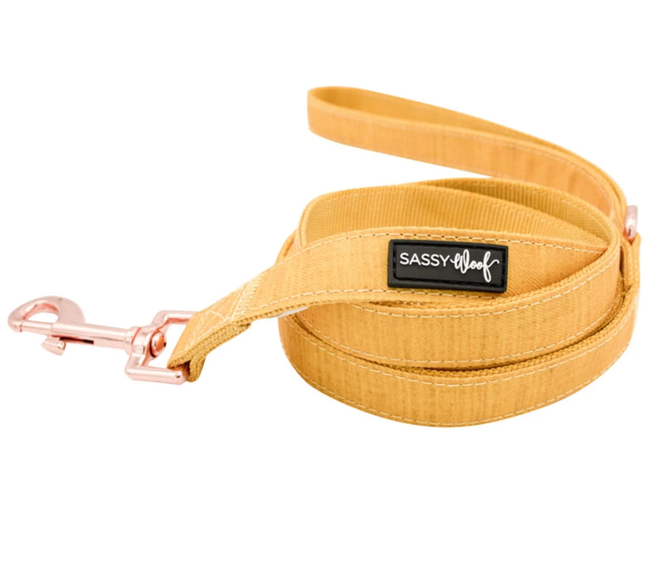 Dog Leash - Pets Perfect