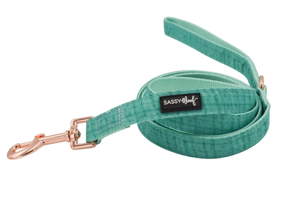 Dog Leash - Pets Perfect
