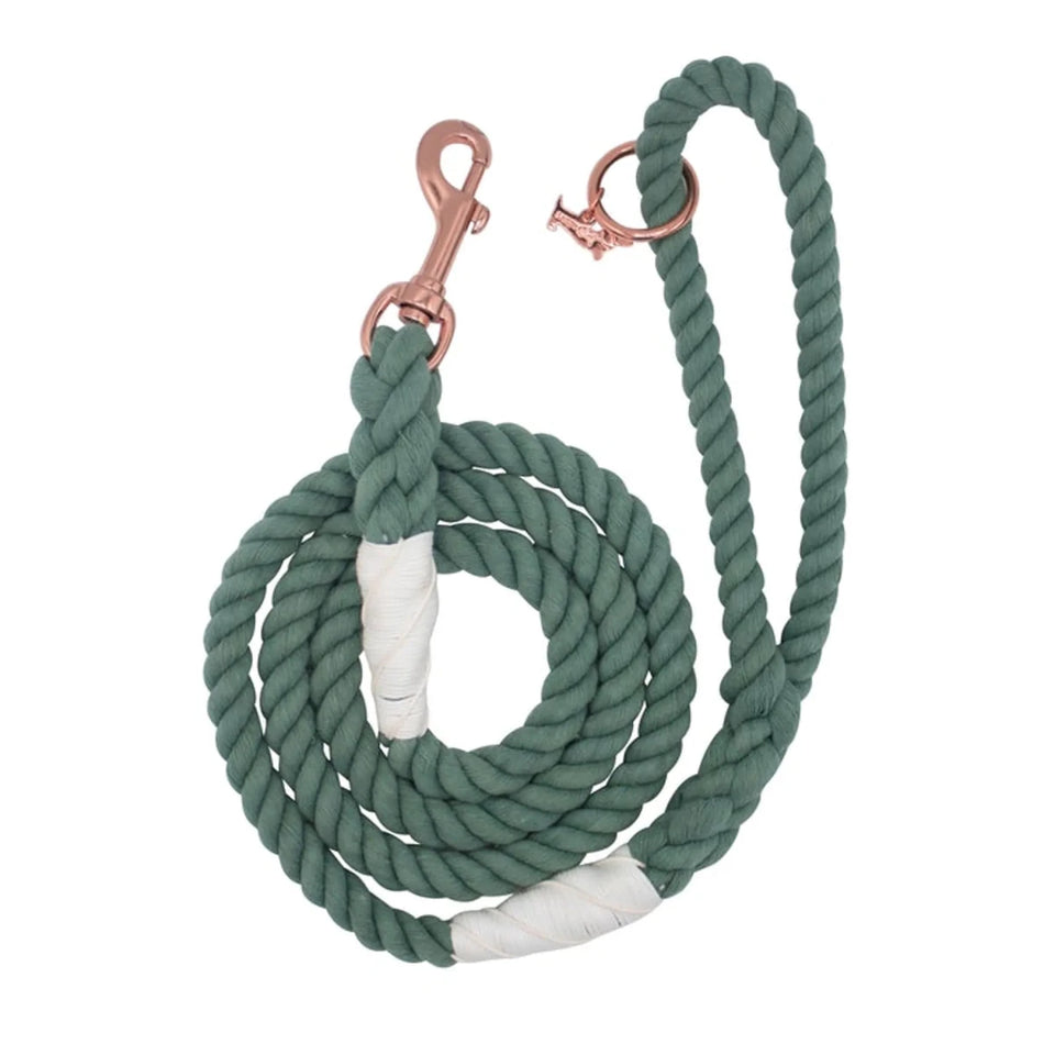 Rope Dog Leash - 5 ft - Pets Perfect