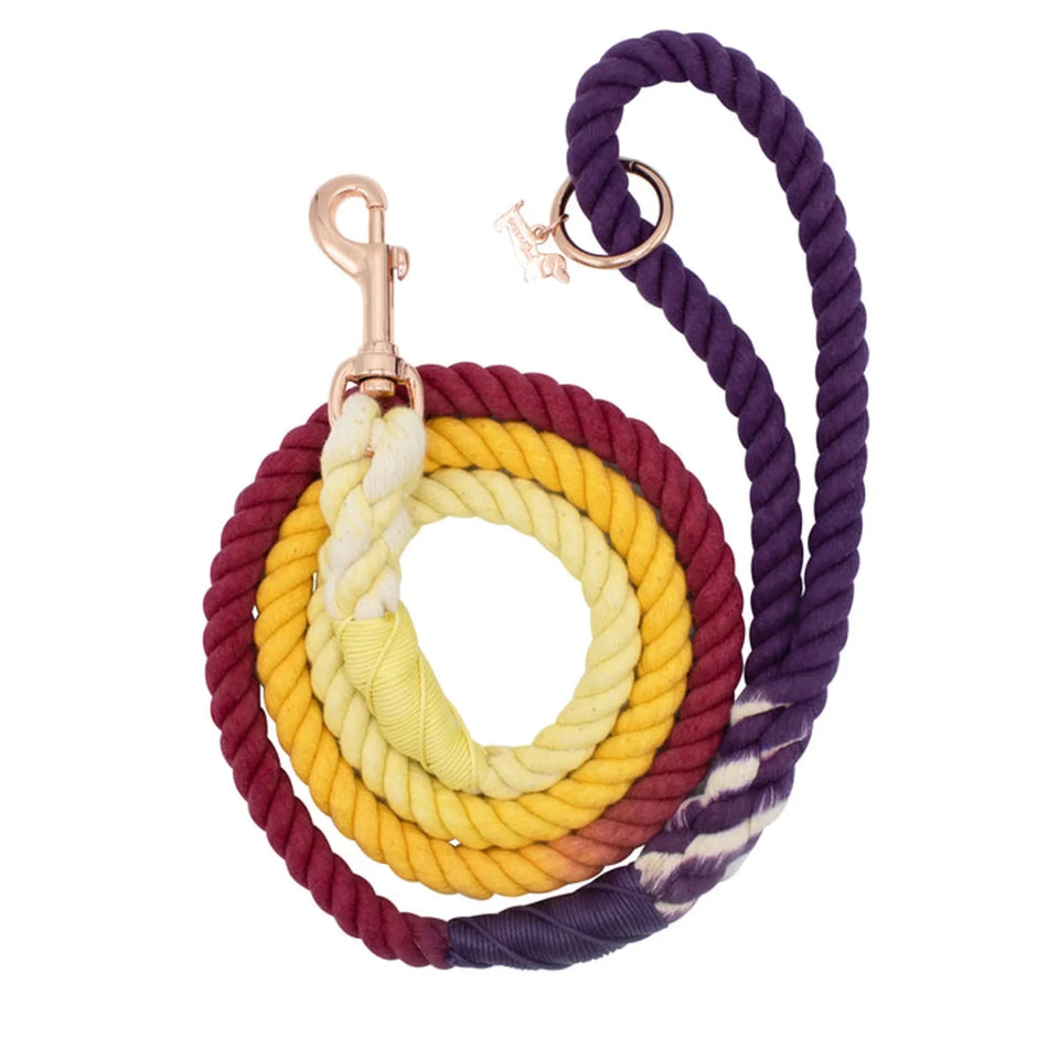 Rope Dog Leash - 5 ft - Pets Perfect
