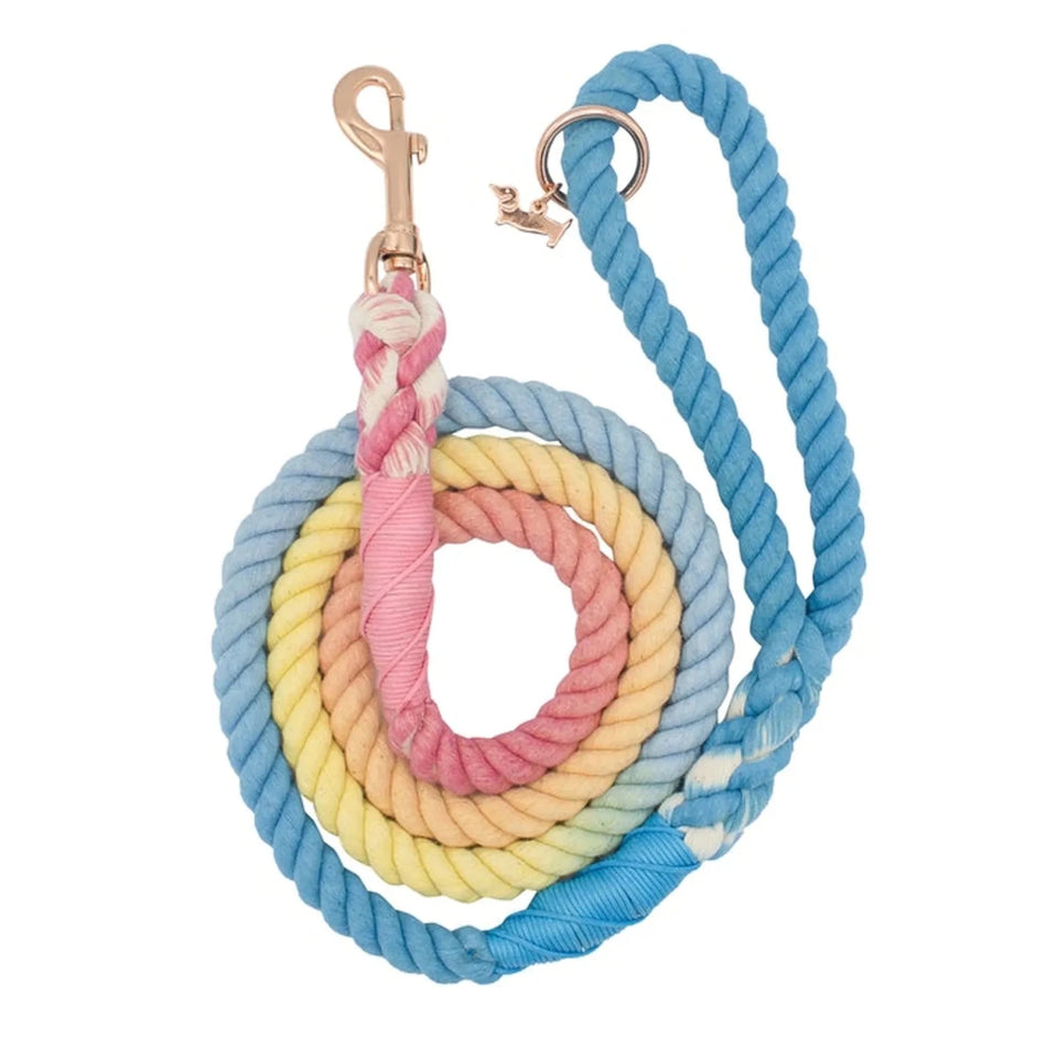Rope Dog Leash - 5 ft - Pets Perfect