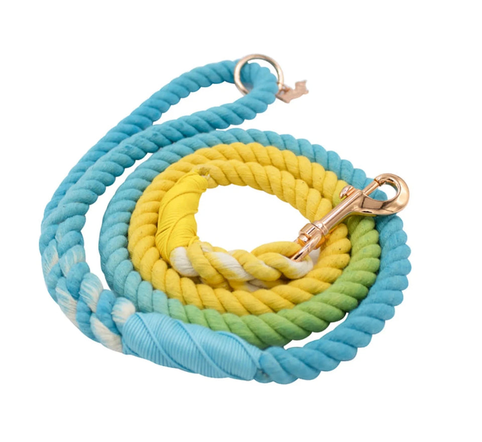Rope Dog Leash - 5 ft - Pets Perfect