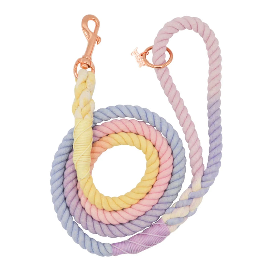 Rope Dog Leash - 5 ft - Pets Perfect