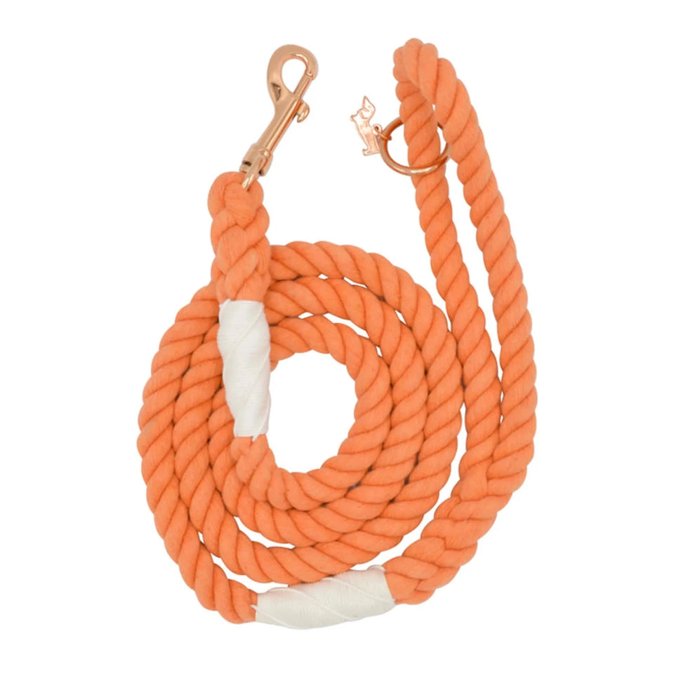 Rope Dog Leash - 5 ft - Pets Perfect
