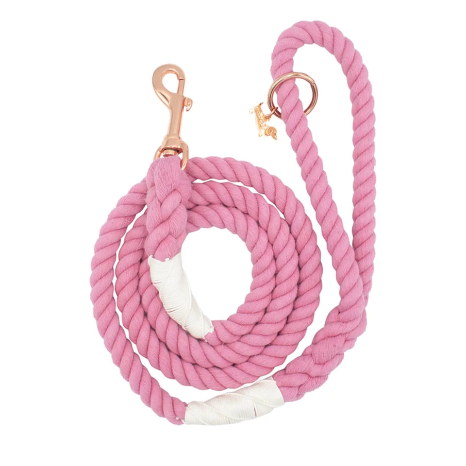 Rope Dog Leash - 5 ft - Pets Perfect